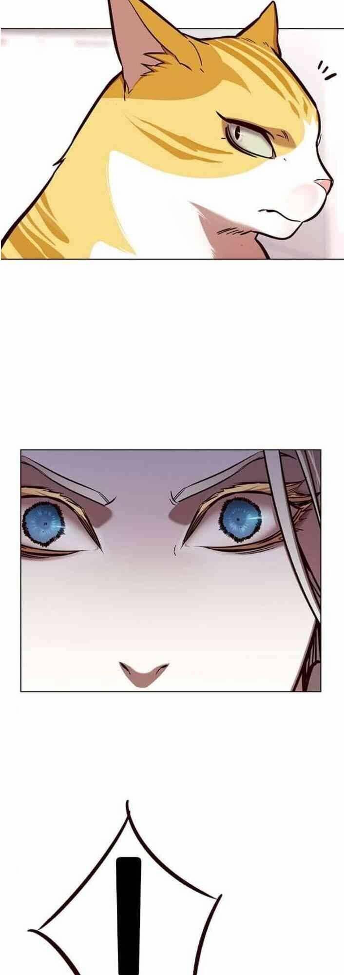 Hoá Thân Thành Mèo - Chapter 138 - Page 73