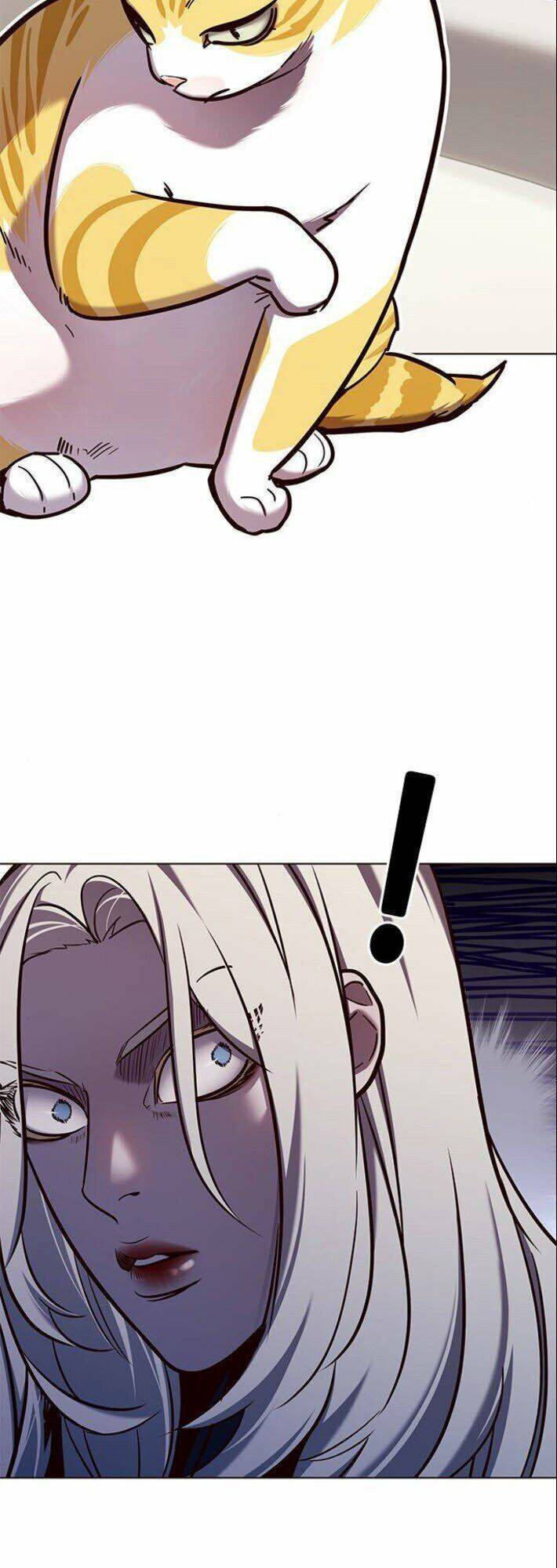 Hoá Thân Thành Mèo - Chapter 139 - Page 13