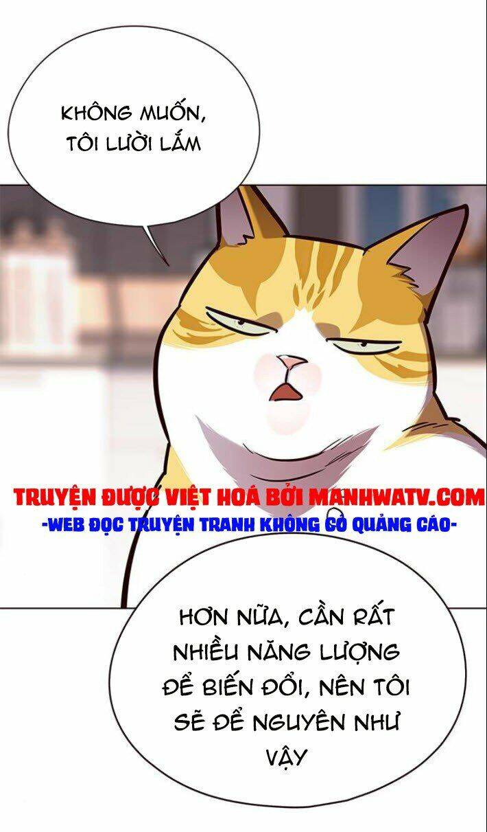Hoá Thân Thành Mèo - Chapter 139 - Page 18