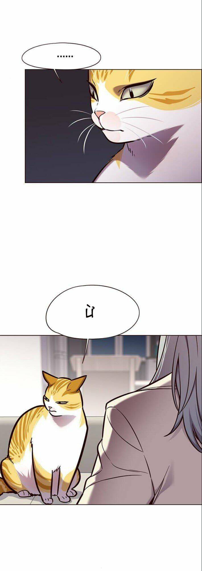 Hoá Thân Thành Mèo - Chapter 139 - Page 34