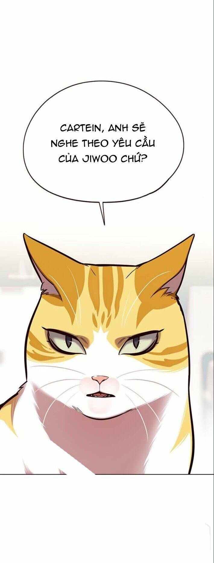 Hoá Thân Thành Mèo - Chapter 139 - Page 37