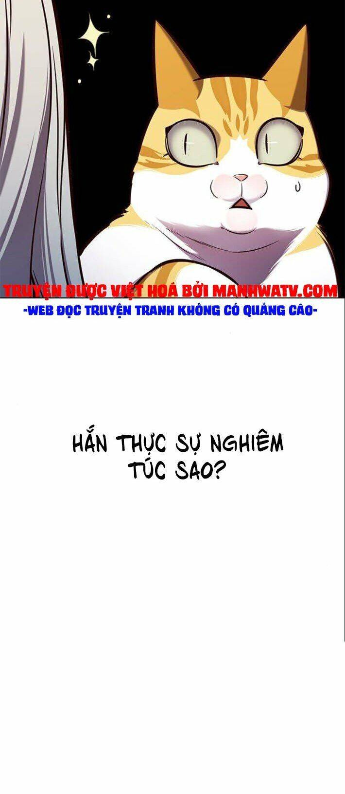 Hoá Thân Thành Mèo - Chapter 139 - Page 47