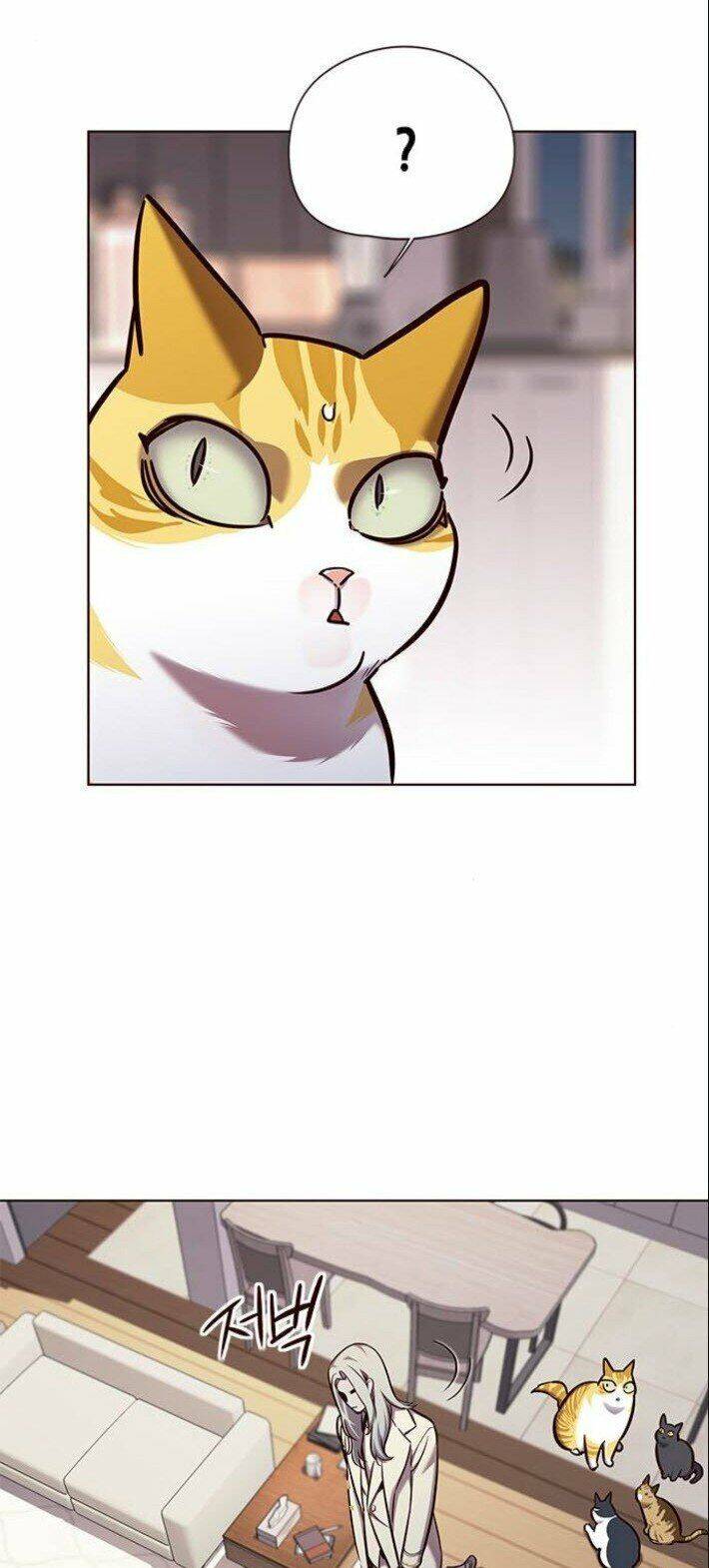 Hoá Thân Thành Mèo - Chapter 139 - Page 5