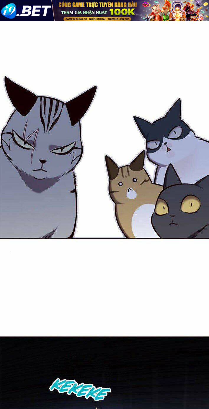 Hoá Thân Thành Mèo - Chapter 139 - Page 55
