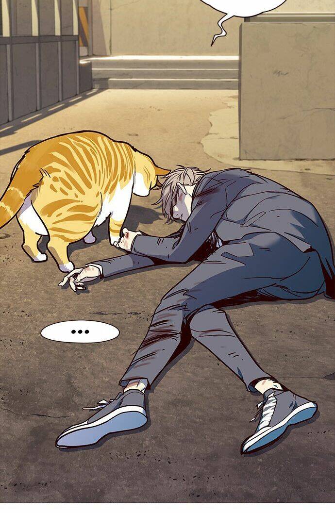 Hoá Thân Thành Mèo - Chapter 14 - Page 17