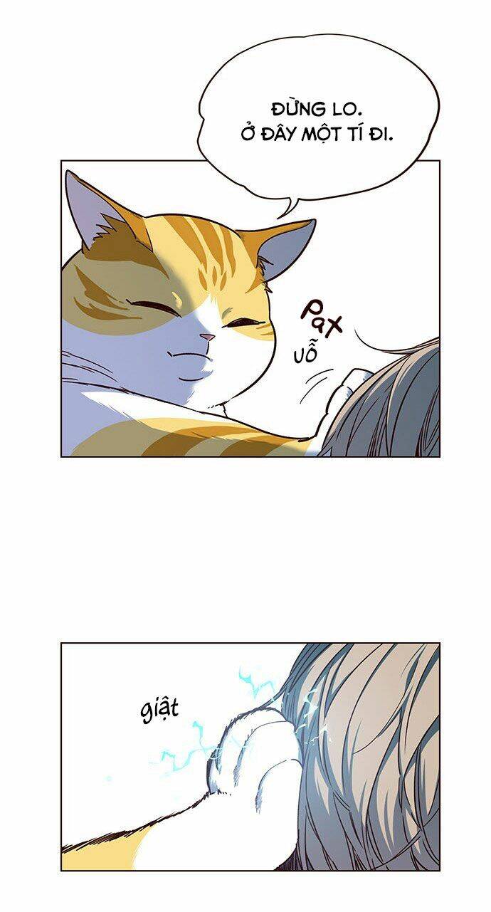 Hoá Thân Thành Mèo - Chapter 14 - Page 31