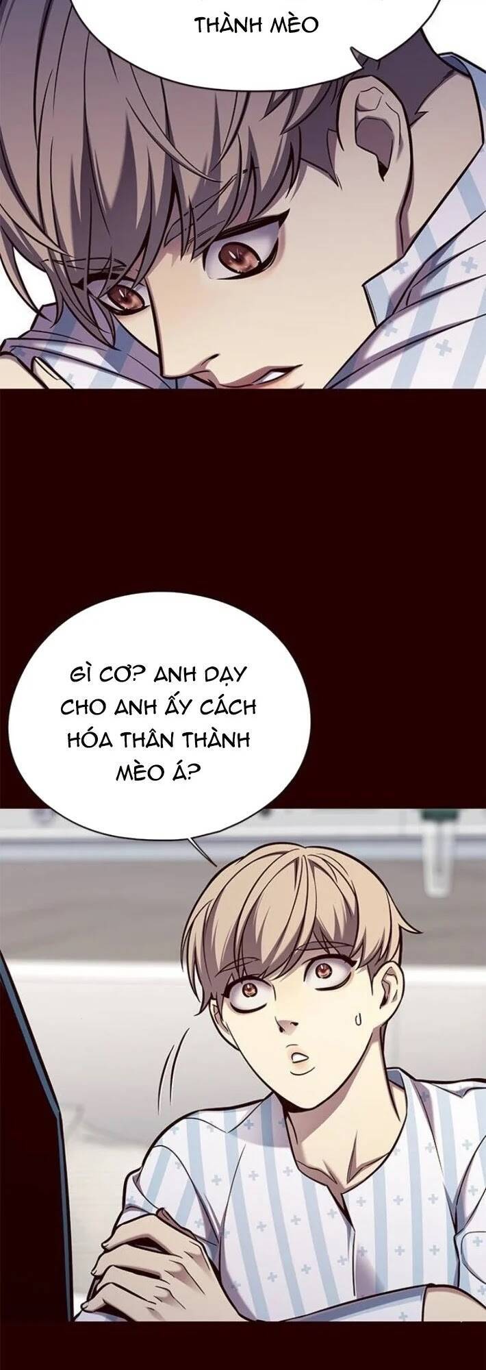 Hoá Thân Thành Mèo - Chapter 141 - Page 27