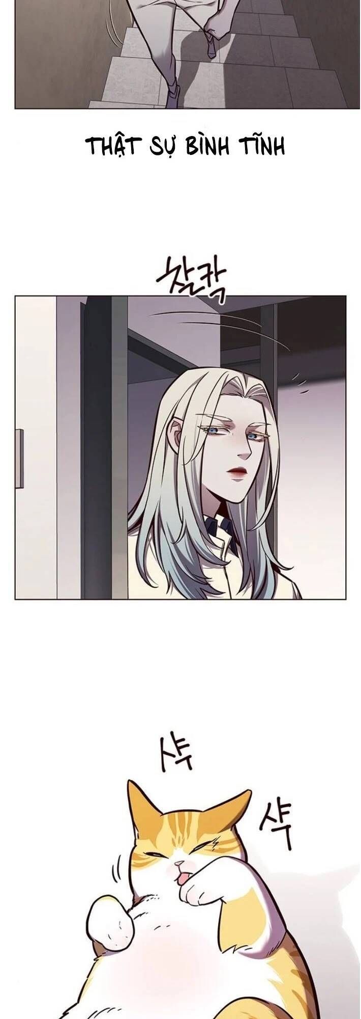 Hoá Thân Thành Mèo - Chapter 141 - Page 47