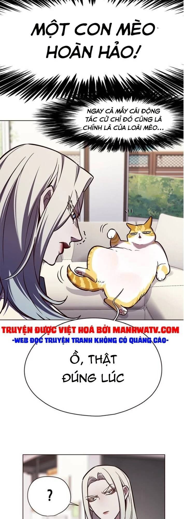 Hoá Thân Thành Mèo - Chapter 141 - Page 49