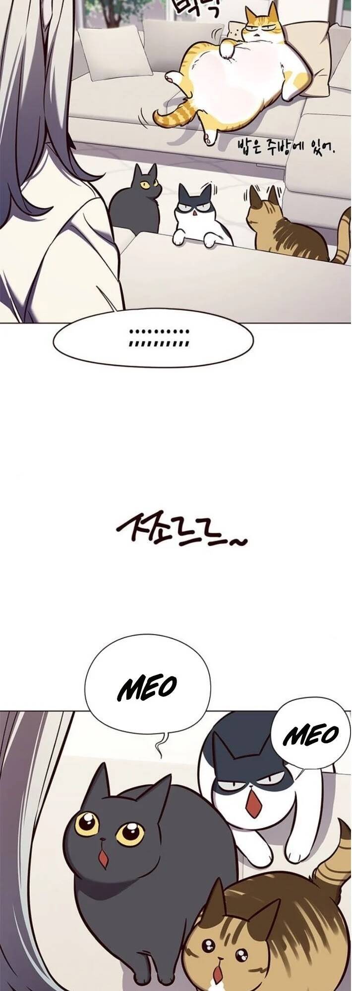 Hoá Thân Thành Mèo - Chapter 141 - Page 51