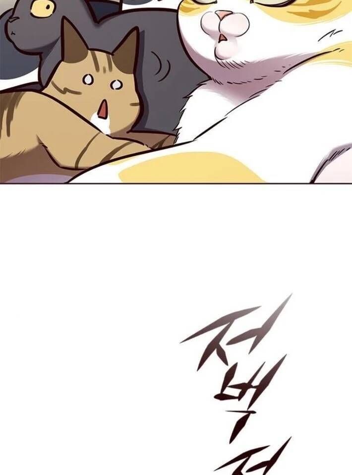 Hoá Thân Thành Mèo - Chapter 141 - Page 58