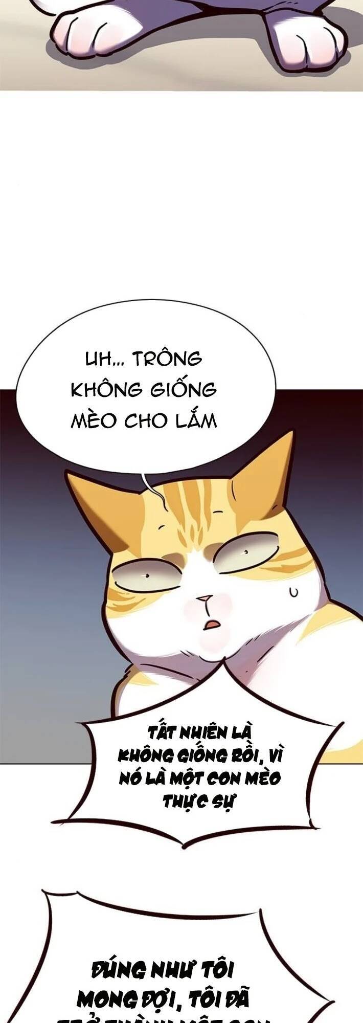 Hoá Thân Thành Mèo - Chapter 141 - Page 65