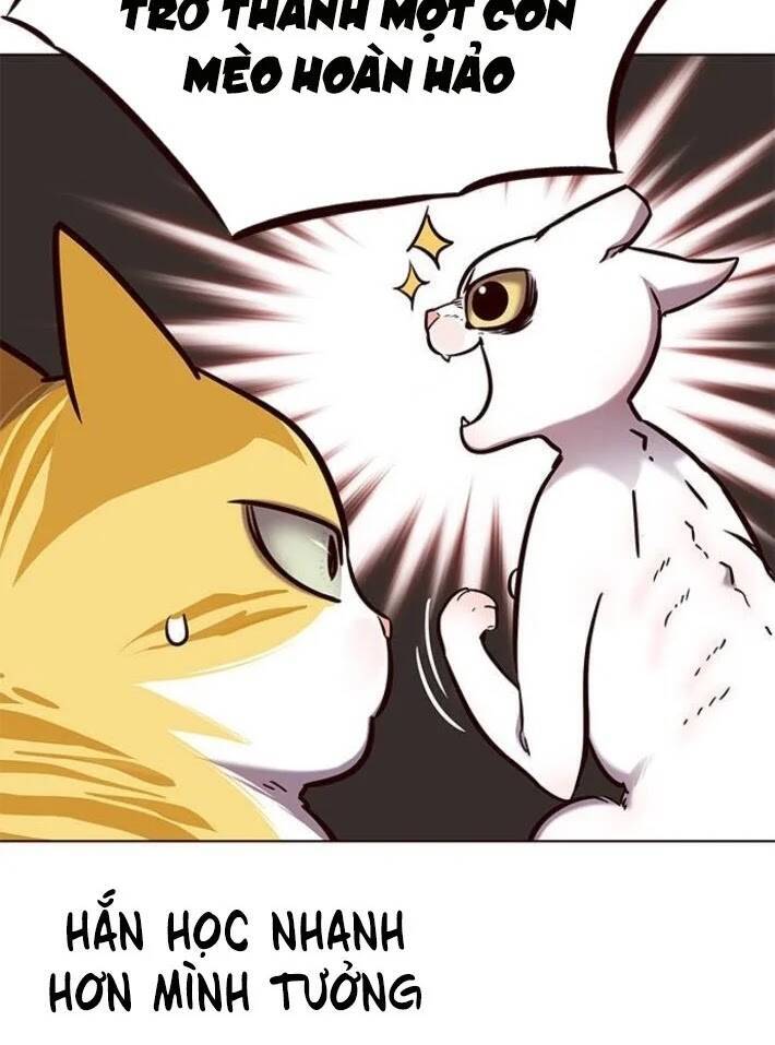 Hoá Thân Thành Mèo - Chapter 141 - Page 66