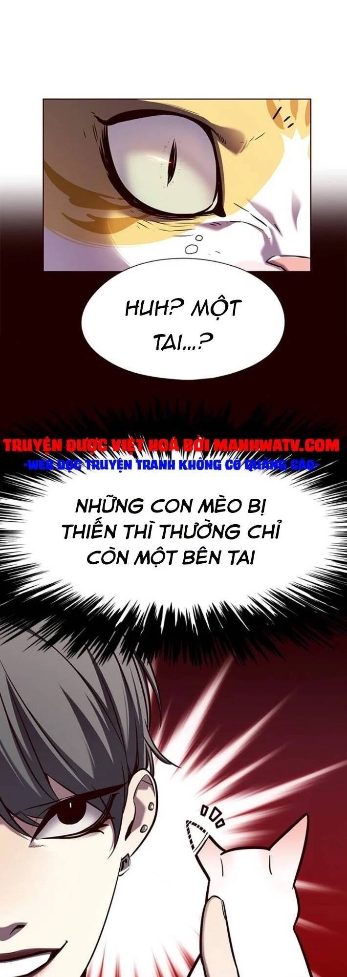 Hoá Thân Thành Mèo - Chapter 141 - Page 67