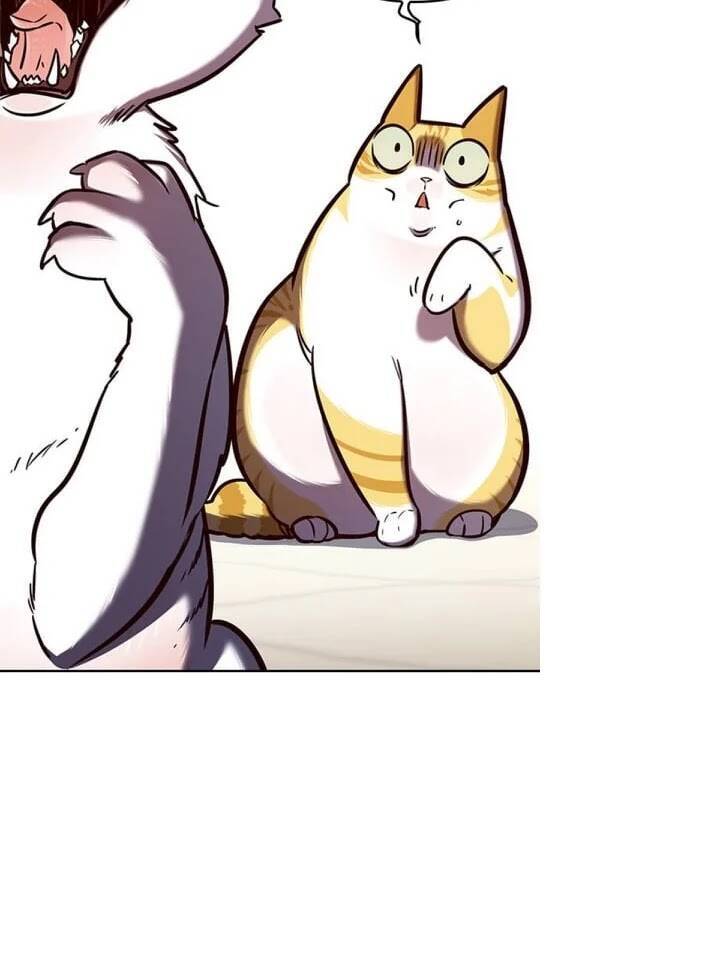 Hoá Thân Thành Mèo - Chapter 141 - Page 70