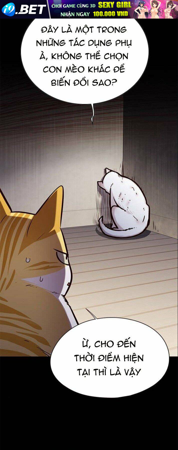 Hoá Thân Thành Mèo - Chapter 142 - Page 5