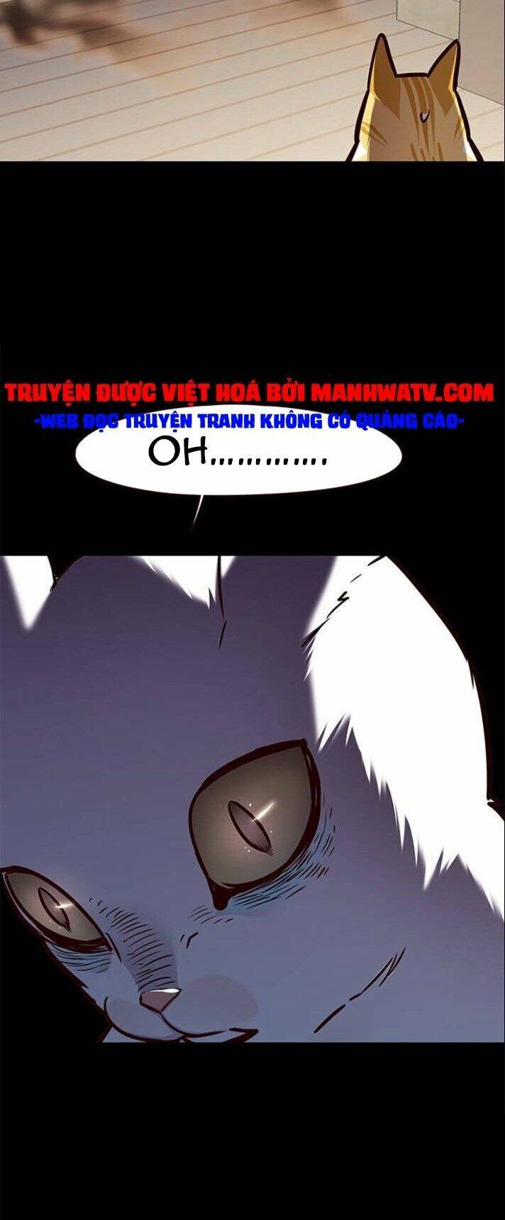 Hoá Thân Thành Mèo - Chapter 142 - Page 8
