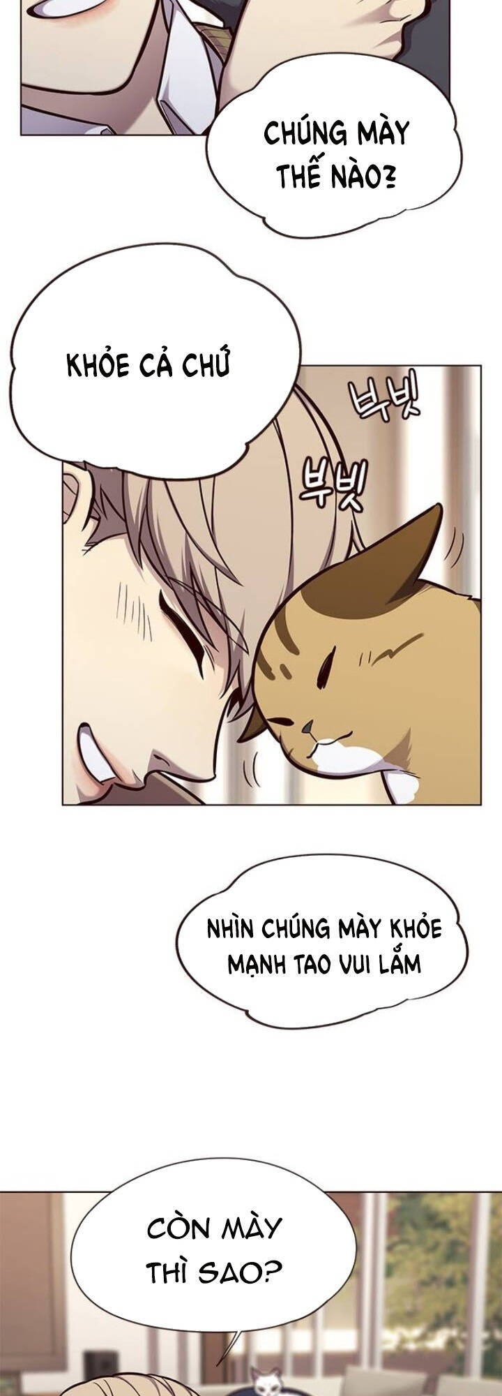 Hoá Thân Thành Mèo - Chapter 143 - Page 13