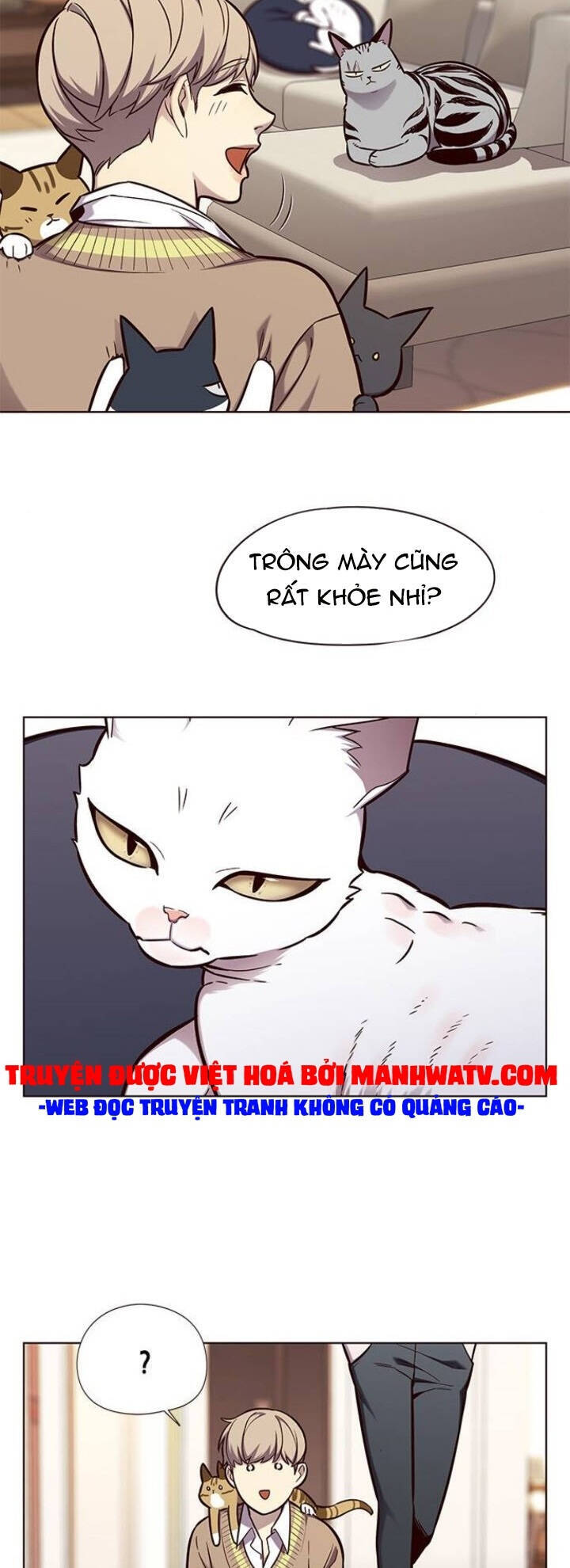 Hoá Thân Thành Mèo - Chapter 143 - Page 14