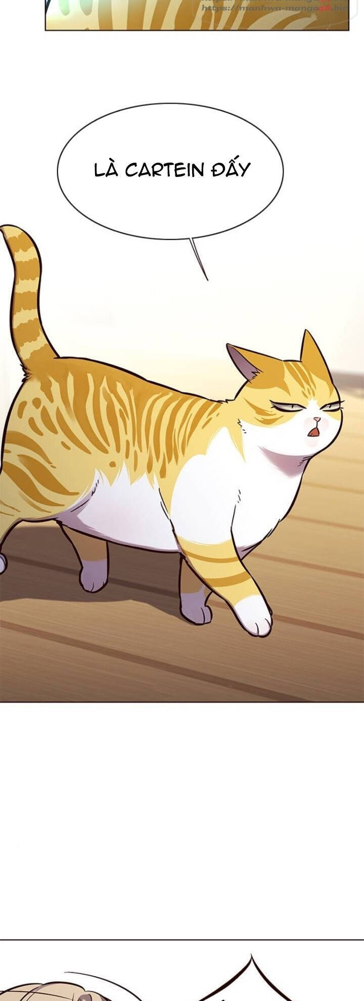 Hoá Thân Thành Mèo - Chapter 143 - Page 16