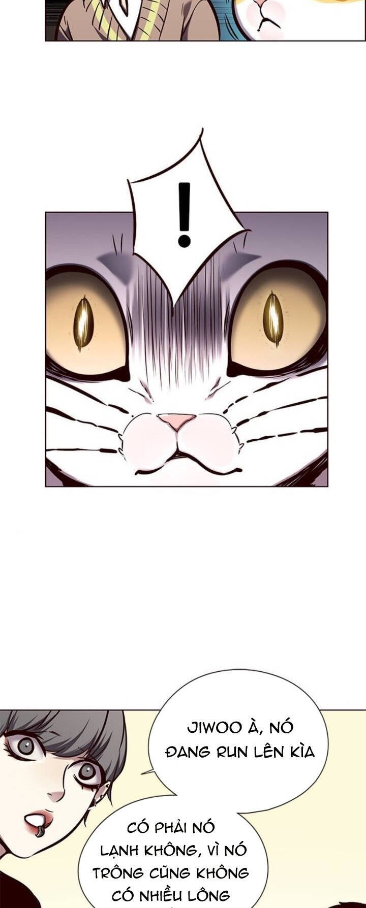 Hoá Thân Thành Mèo - Chapter 143 - Page 43