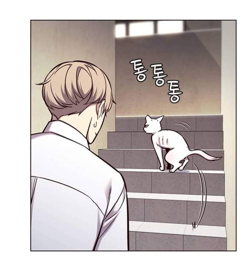 Hoá Thân Thành Mèo - Chapter 144 - Page 10