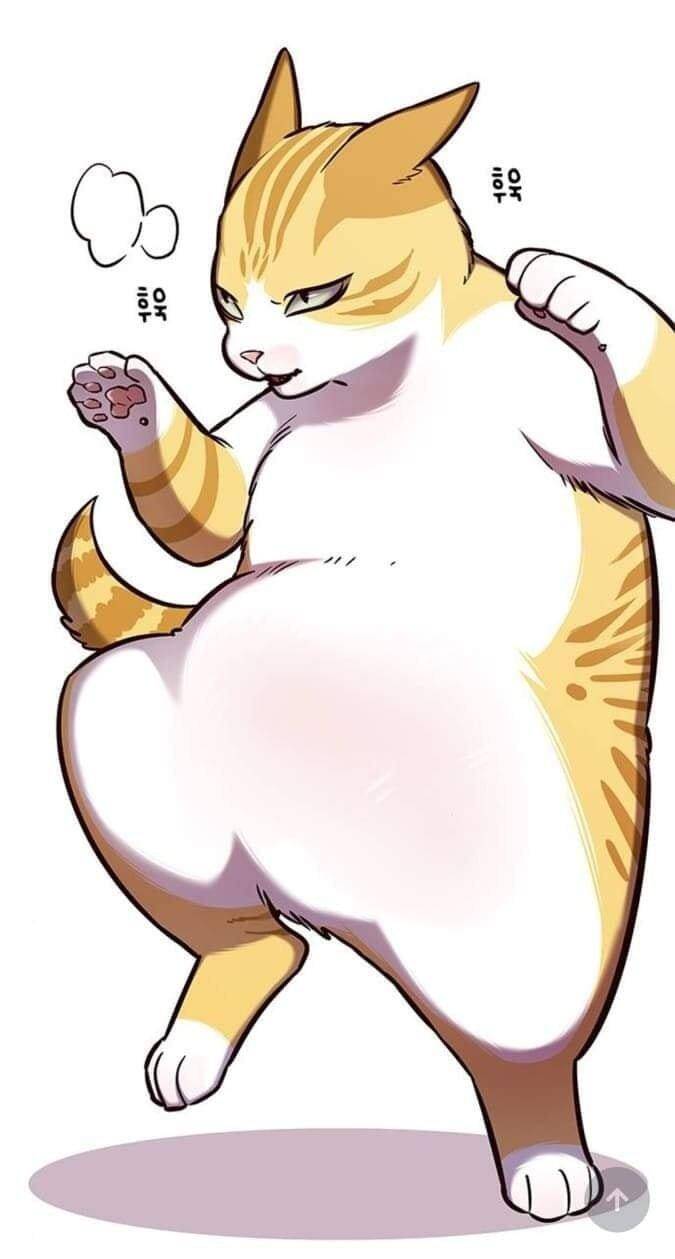 Hoá Thân Thành Mèo - Chapter 144 - Page 13