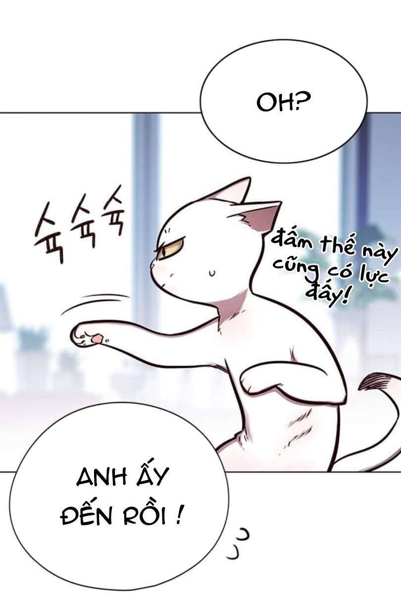 Hoá Thân Thành Mèo - Chapter 144 - Page 23