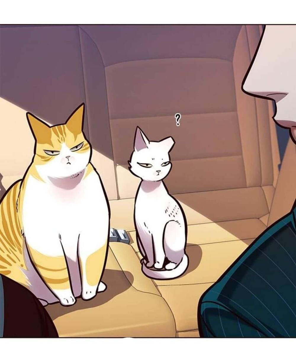 Hoá Thân Thành Mèo - Chapter 144 - Page 29