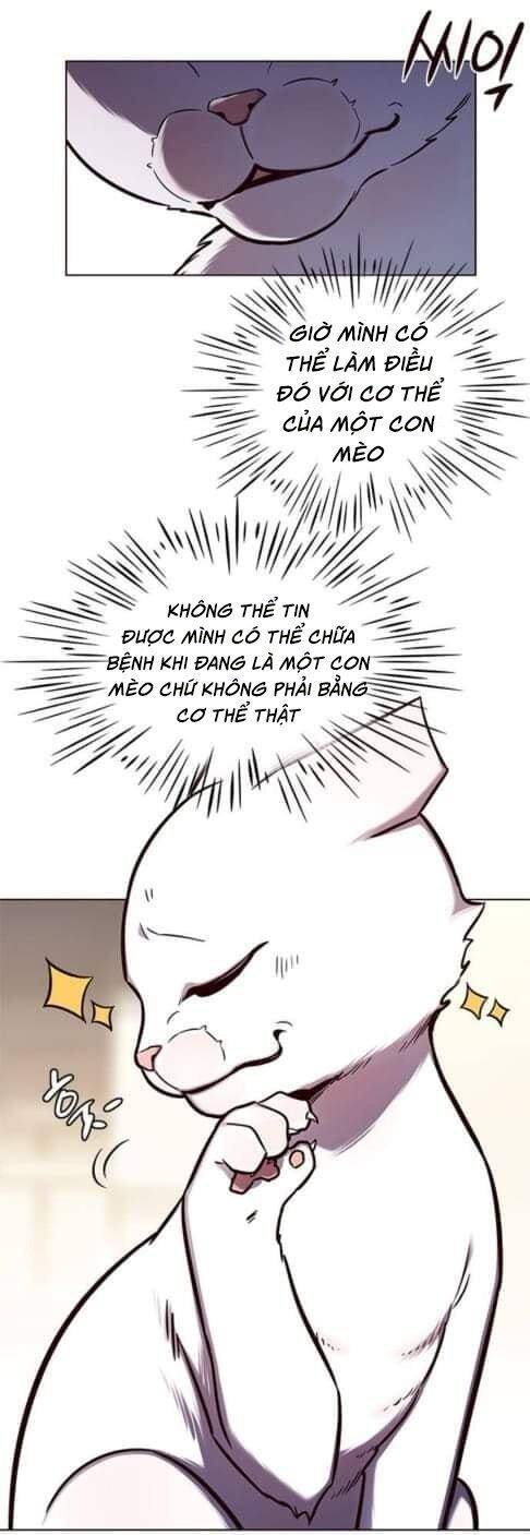 Hoá Thân Thành Mèo - Chapter 144 - Page 4
