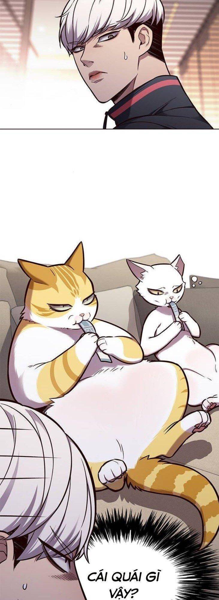 Hoá Thân Thành Mèo - Chapter 146 - Page 17