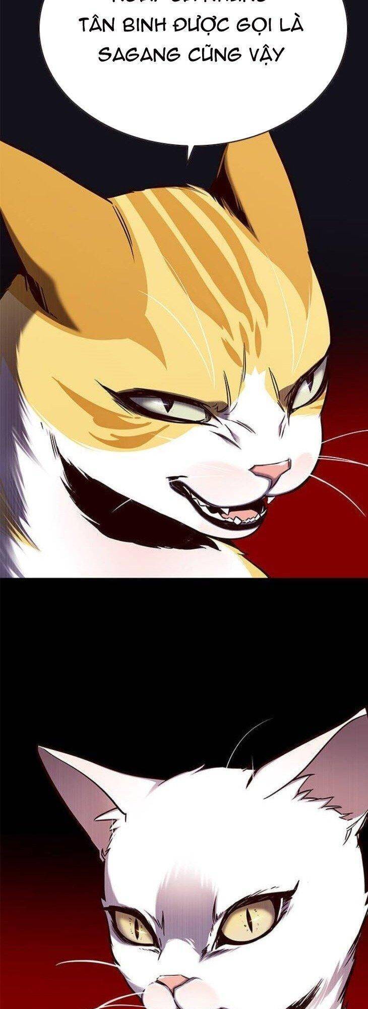 Hoá Thân Thành Mèo - Chapter 146 - Page 41