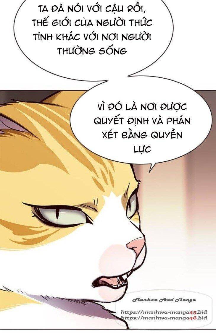 Hoá Thân Thành Mèo - Chapter 146 - Page 50