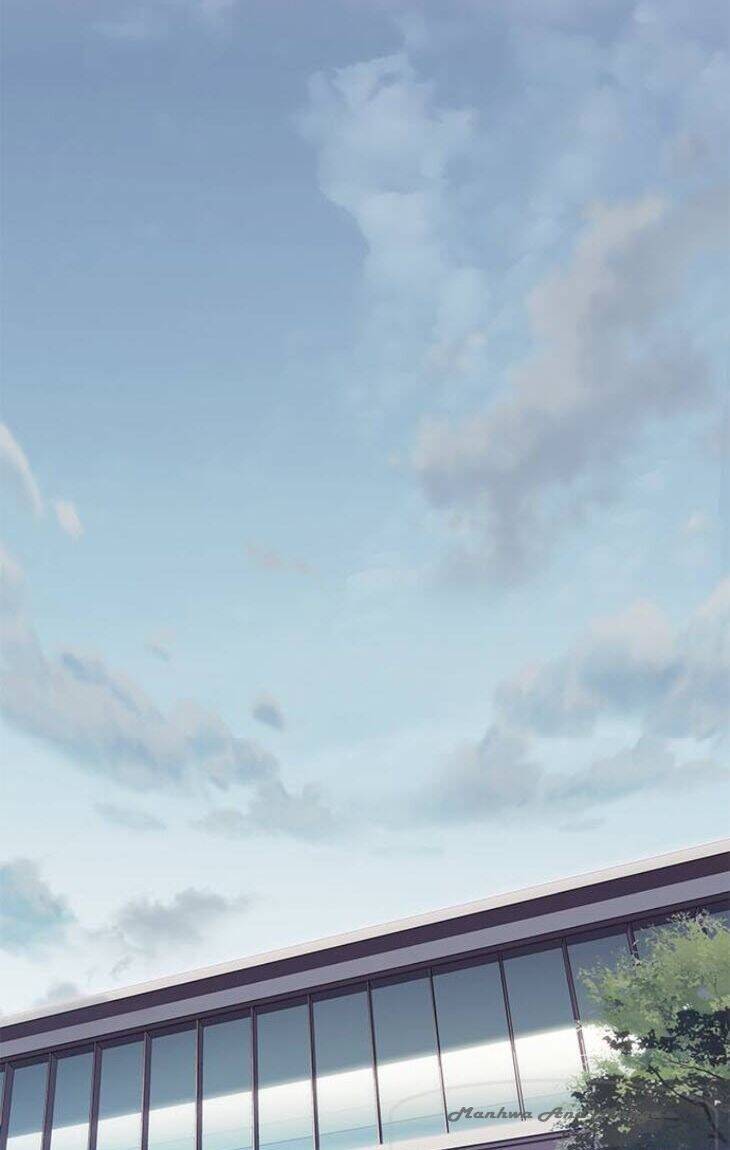 Hoá Thân Thành Mèo - Chapter 148 - Page 17