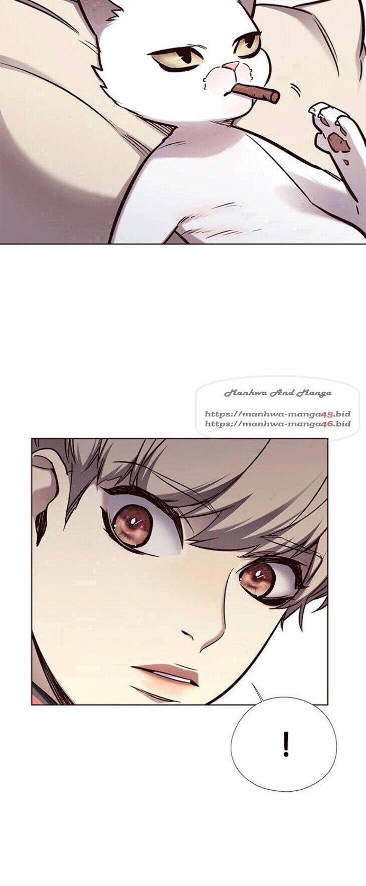 Hoá Thân Thành Mèo - Chapter 148 - Page 9