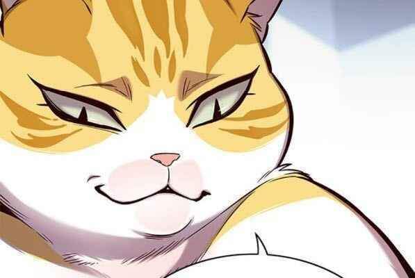 Hoá Thân Thành Mèo - Chapter 153 - Page 65