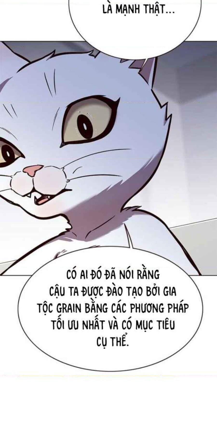 Hoá Thân Thành Mèo - Chapter 154 - Page 36