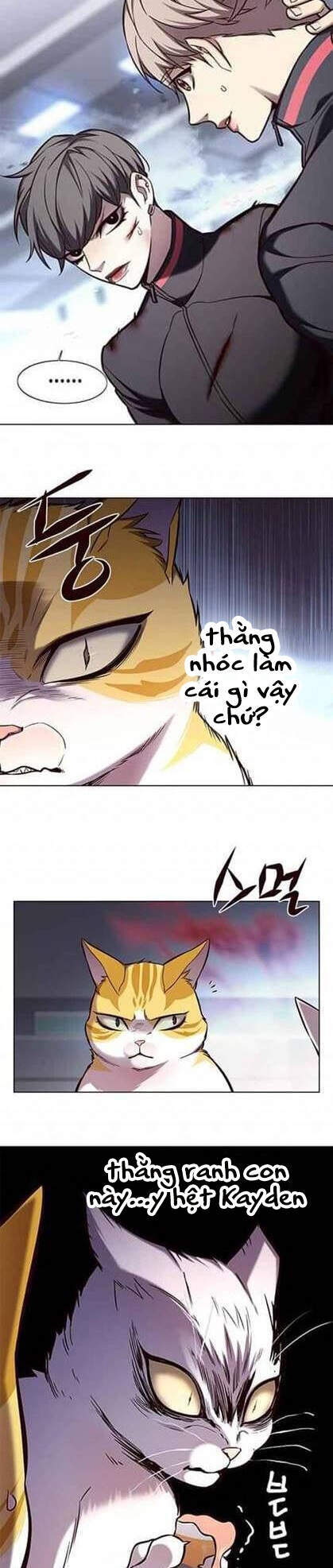 Hoá Thân Thành Mèo - Chapter 155 - Page 4