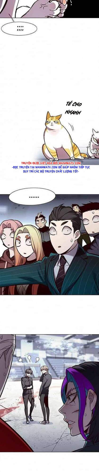 Hoá Thân Thành Mèo - Chapter 155 - Page 5