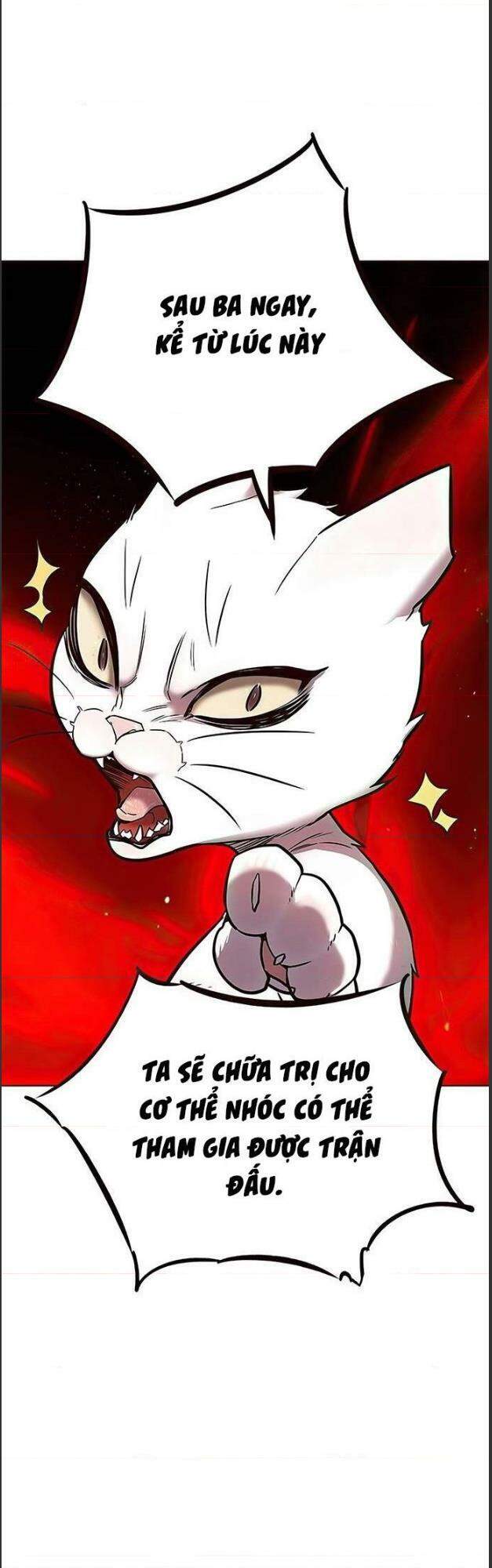 Hoá Thân Thành Mèo - Chapter 156 - Page 19