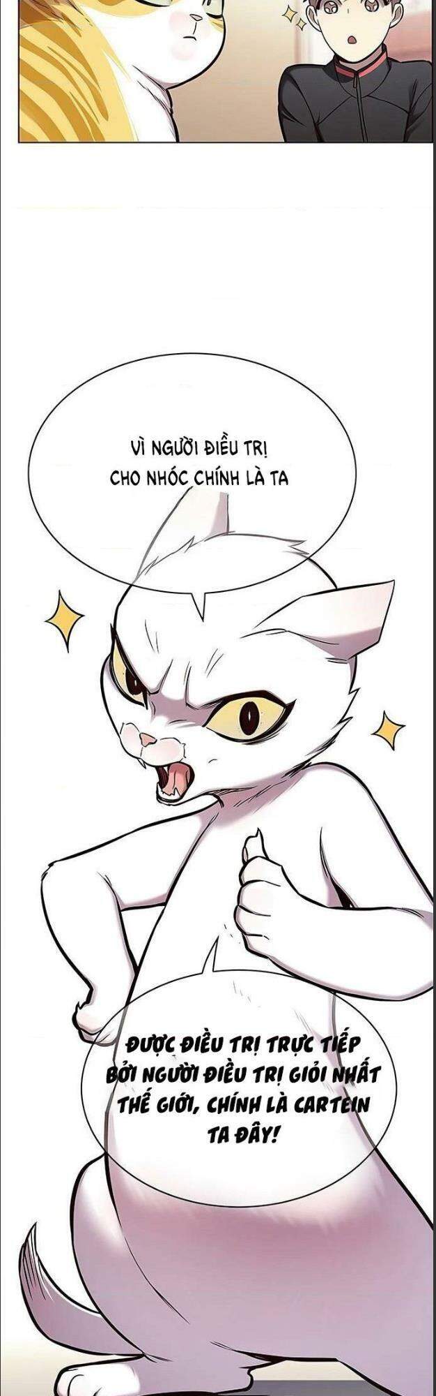 Hoá Thân Thành Mèo - Chapter 156 - Page 3