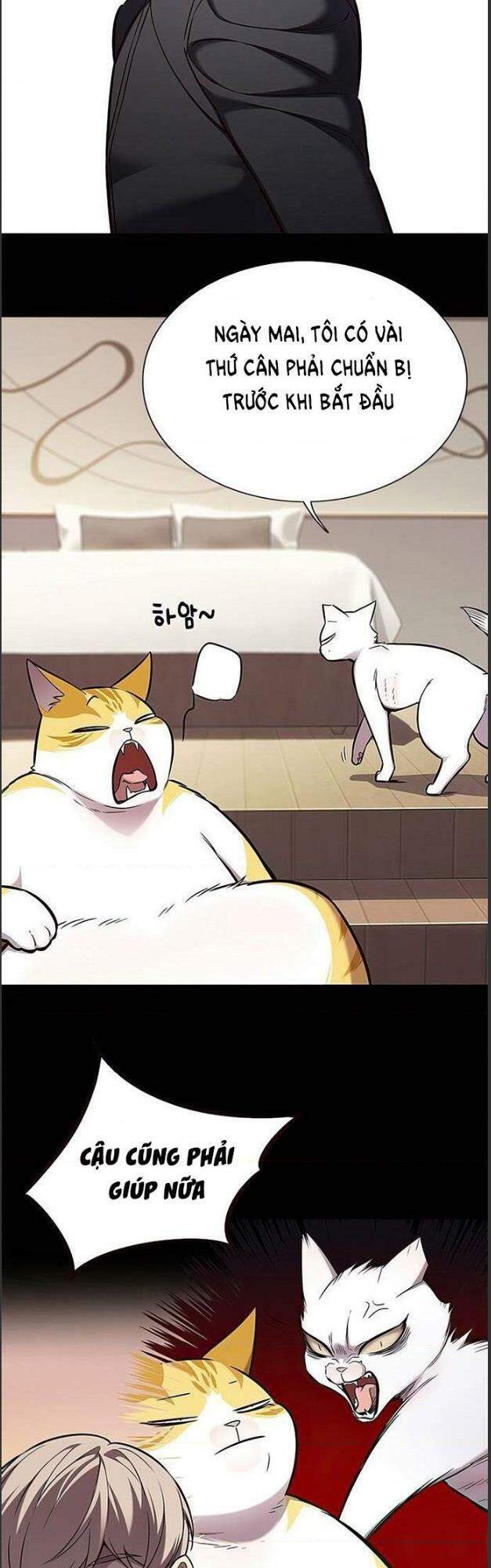 Hoá Thân Thành Mèo - Chapter 156 - Page 37