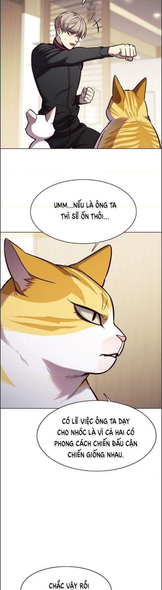 Hoá Thân Thành Mèo - Chapter 157 - Page 27