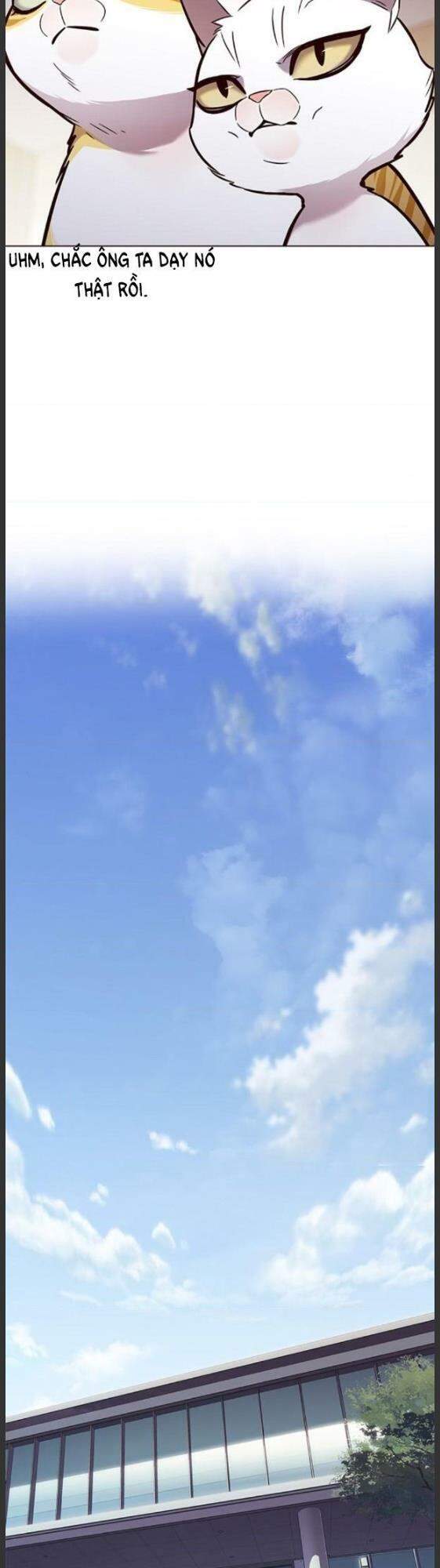 Hoá Thân Thành Mèo - Chapter 157 - Page 31