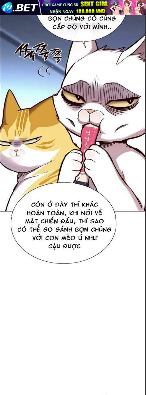 Hoá Thân Thành Mèo - Chapter 159 - Page 13