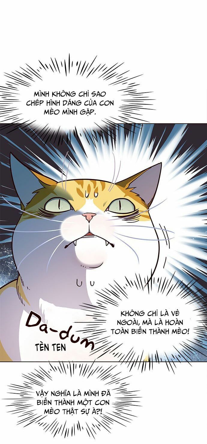 Hoá Thân Thành Mèo - Chapter 16 - Page 11