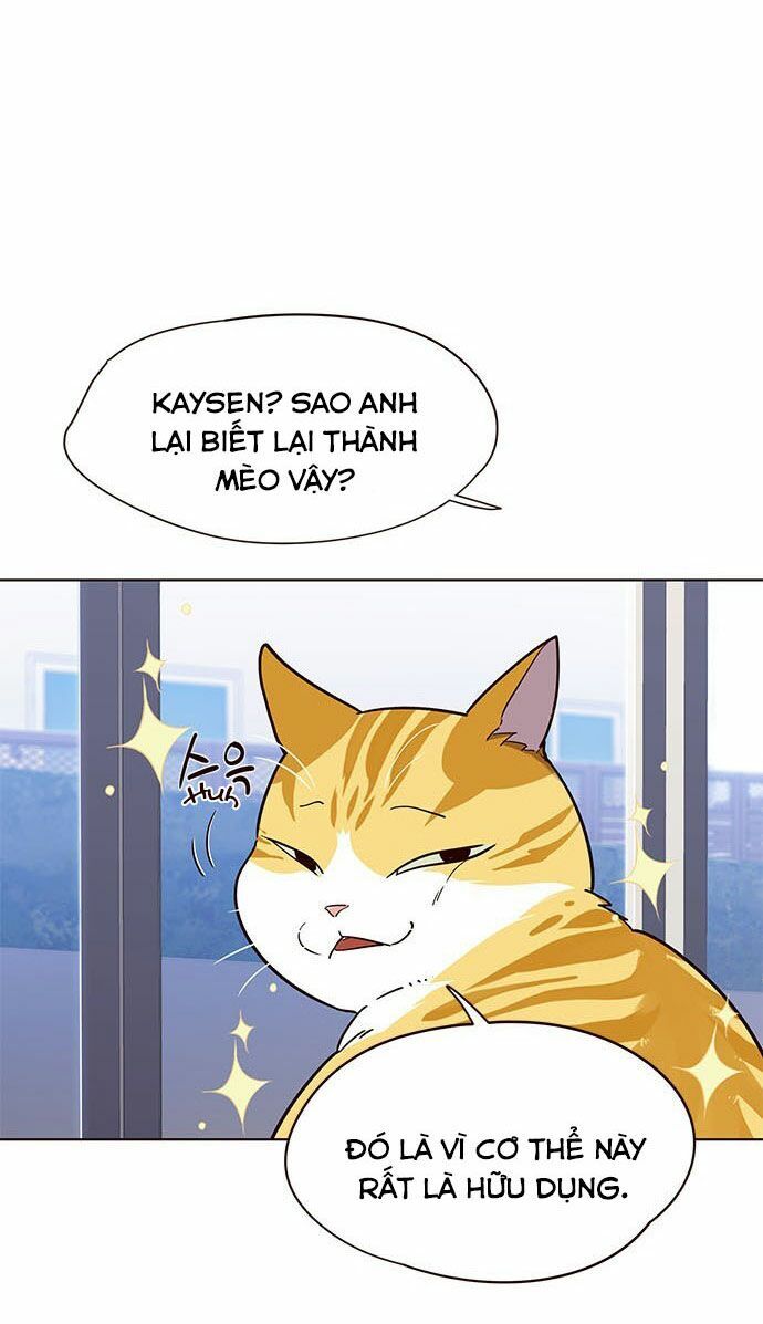 Hoá Thân Thành Mèo - Chapter 16 - Page 17