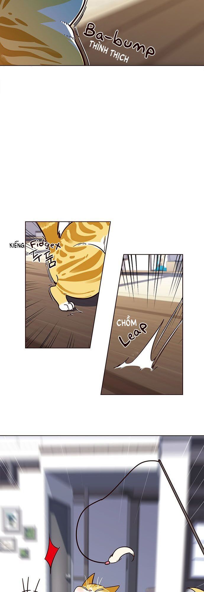 Hoá Thân Thành Mèo - Chapter 16 - Page 19