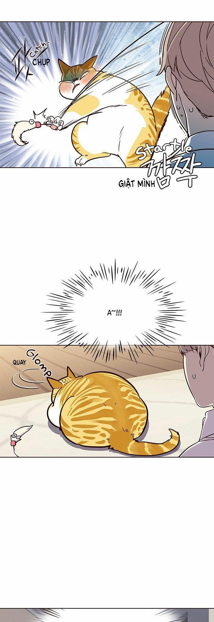 Hoá Thân Thành Mèo - Chapter 16 - Page 22