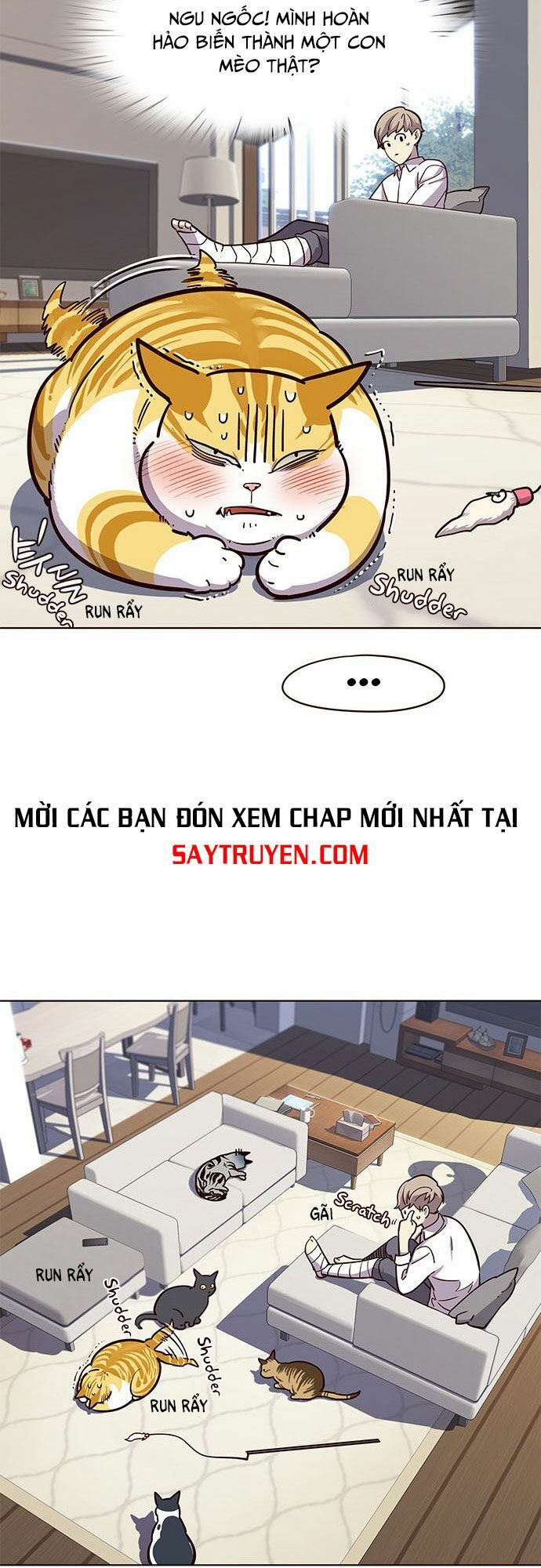 Hoá Thân Thành Mèo - Chapter 16 - Page 23